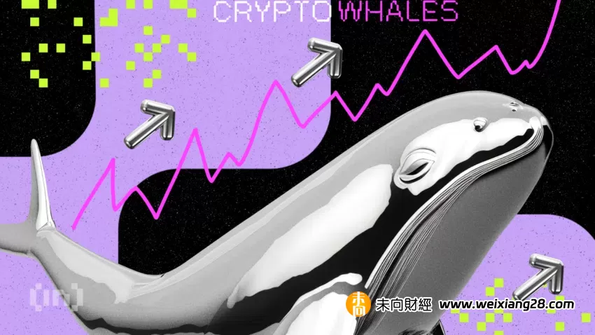 2023年11月，隱鯨為了利潤而購買了什麼插图